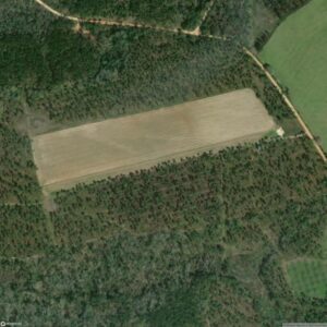 Viola Farm