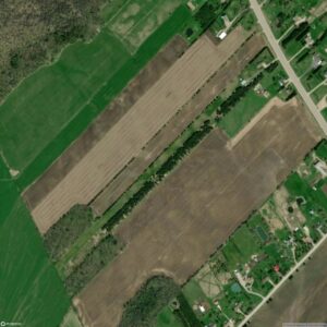 Arthur (Peskett Field)