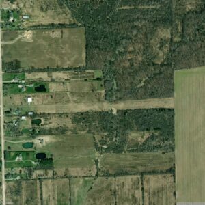 Wards Long Acres